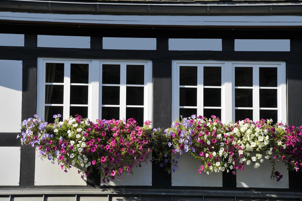 Landidyll Hotel Haus Hochstein เอสลัวห์ ภายนอก รูปภาพ